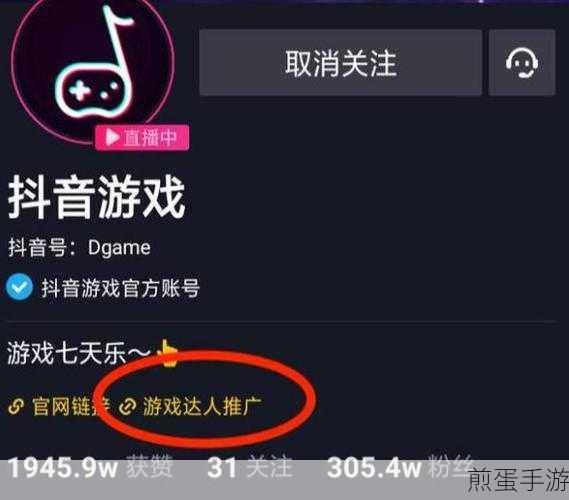 抖音链接轻松复制,手游玩家分享新攻略