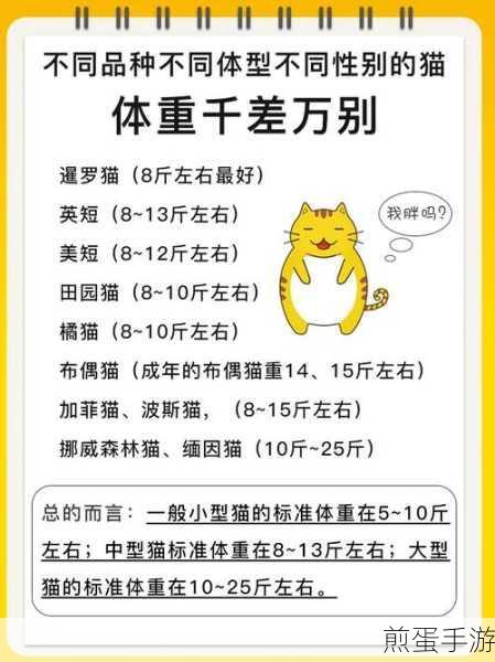 创造与魔法，猫咪乐园之猫咪妙妙窝获取与实用指南全解析，成为游戏大神的必备秘籍