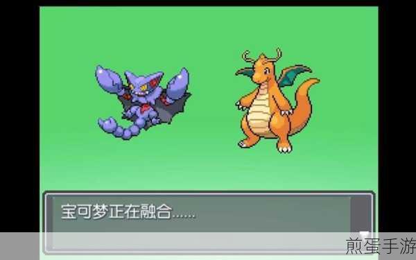 口袋妖怪XY后花园,探索神秘的精灵乐园