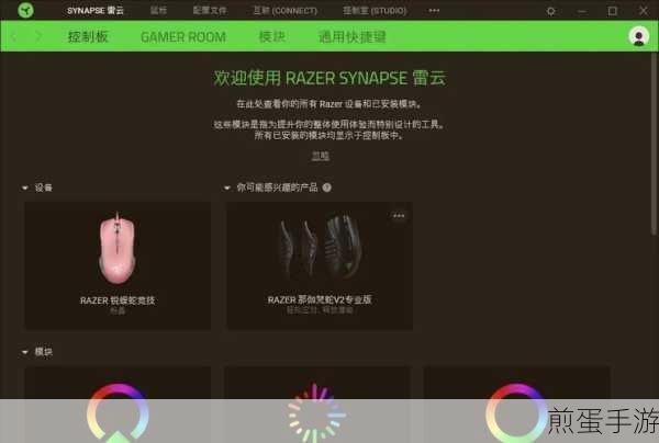 雷蛇鼠标驱动安装全攻略,助力手游玩家精准操作