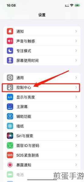 苹果手机读字功能设置全攻略