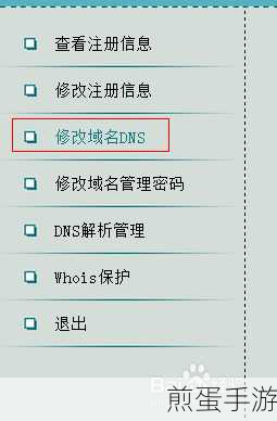华为手机加密DNS开启攻略,为手游安全护航