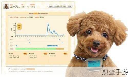 MySQL监控秘籍，手游玩家眼中的服务器健康指南