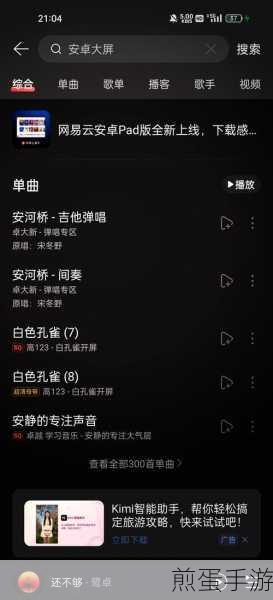 网易云音乐APP,轻松设置,尽享高品质音乐下载