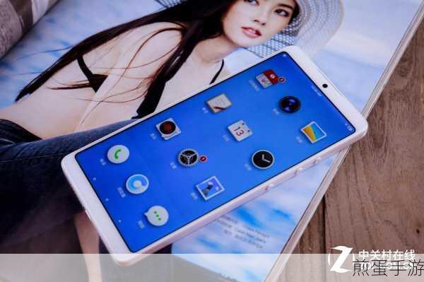 坚果Pro2再现经典,售价揭秘与手游体验