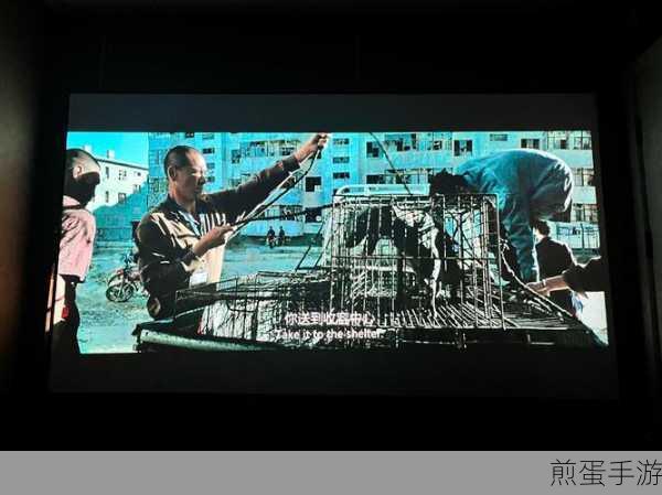 迅雷影音全屏播放秘籍,轻松享受沉浸式观影体验