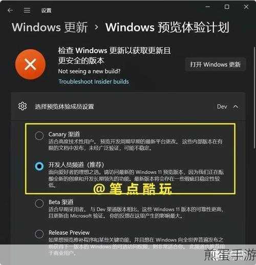 Win11玩家必看,轻松掌握反馈与提交Bug技巧