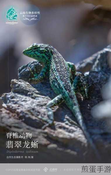 原神龙蜥寻踪活动收益最大化方法,掌握这些技巧你就是赢家