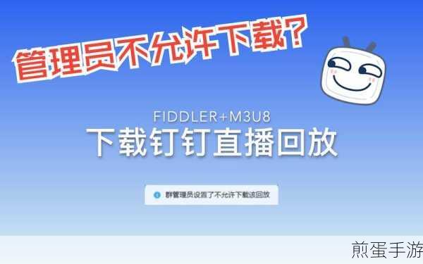 钉钉直播回放清理攻略,轻松管理你的直播记录