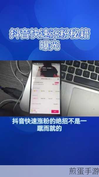 抖音涨粉秘籍,手游玩家的独家攻略大公开