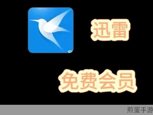 迅雷下载遇阻?轻松解锁下载目录写入权限