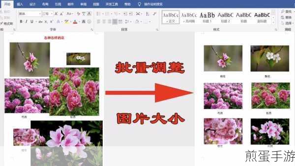 Word图片调整秘籍，轻松实现统一大小
