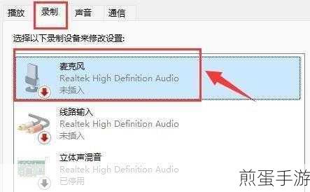 Win11麦克风失灵?手游玩家自救指南来了!