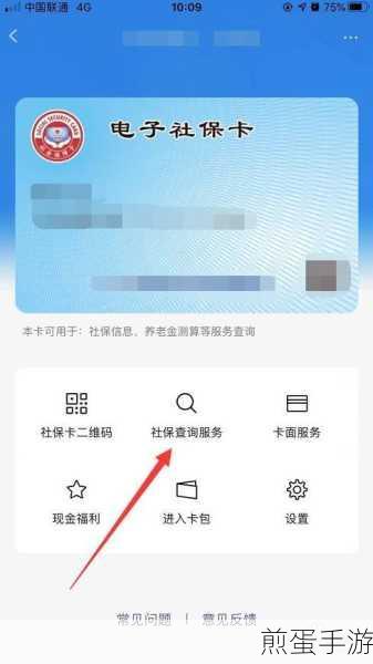 社保卡双账户查询攻略，手游玩家也能轻松搞定