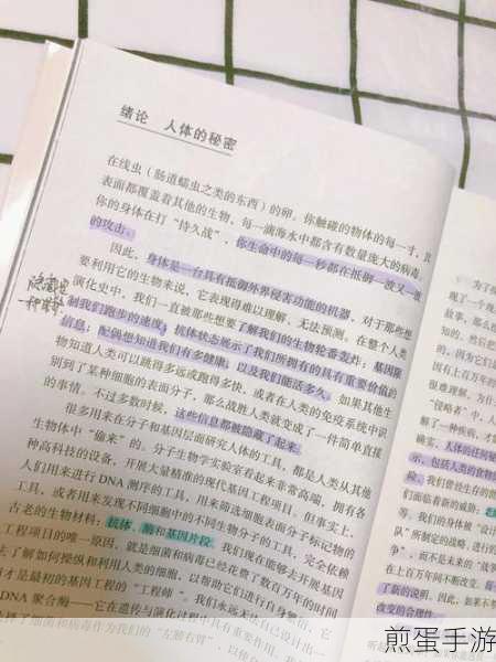 揭秘编程谜团，指针变量在函数内外的奇妙变化
