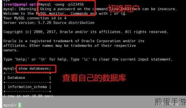MySQL密码遗忘?手游玩家自救指南来了!