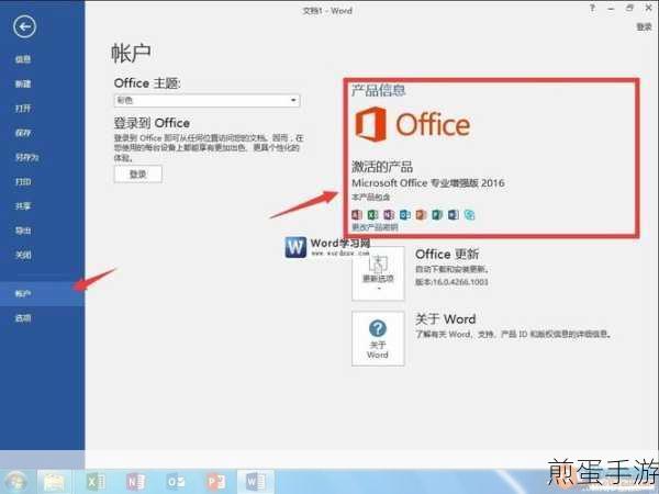 Office2016激活工具安装难题,手游玩家如何巧妙应对?