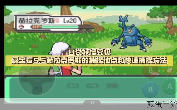 口袋妖怪绿宝石版全精灵捕捉地点有哪些,成为宝可梦大师的必备秘籍