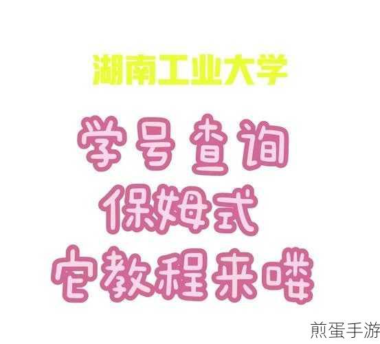 易班APP查看学号全攻略,轻松掌握你的专属数字身份