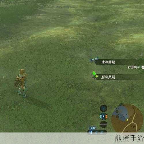 塞尔达耐火凤蝶哪里多-耐火凤蝶位置,全网独家探秘