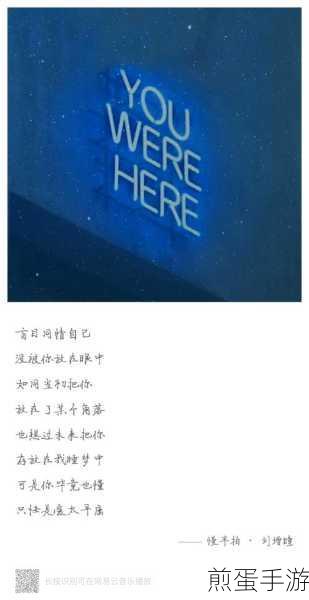 网易云音乐歌词分享攻略，让音乐与心情共鸣
