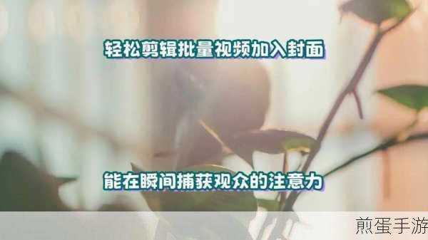 拍大师在手，视频封面轻松设