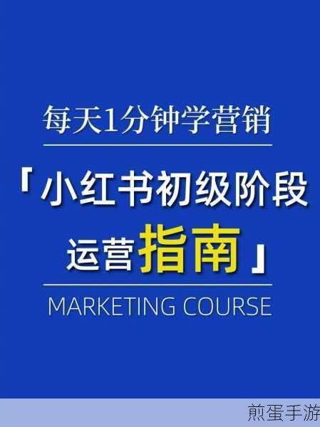 从零开始,打造你的网络领地,快速上手建站与维护秘籍