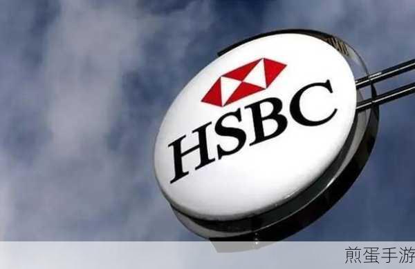 解锁财务新技能，Canara Hsbc 收据下载全攻略