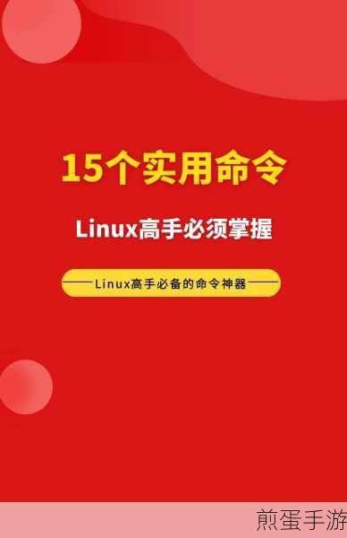 Linux高手秘籍,轻松掌握查看所有运行进程技巧