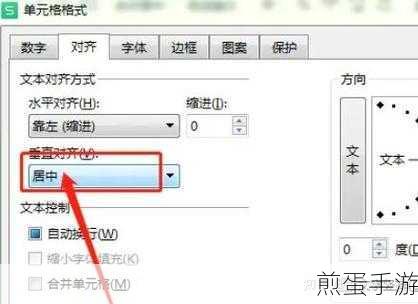 Excel高手秘籍,Microsoft Excel 2020表格文字居中全攻略