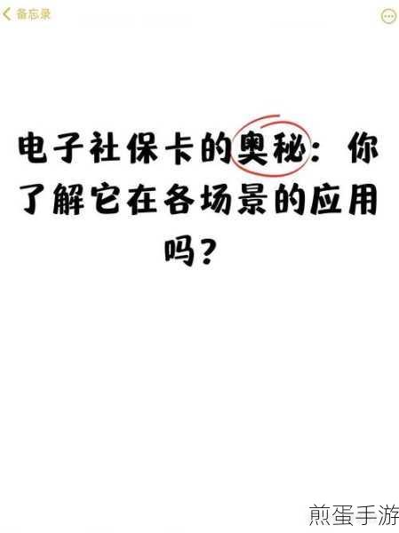 数字生活新升级,手游玩家如何轻松领取电子社保卡