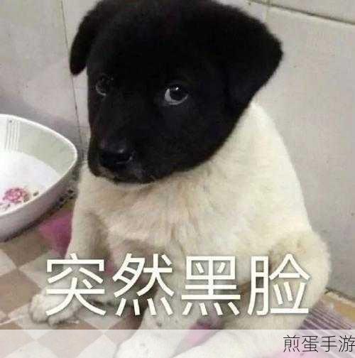 微信表情包大清理,让你的聊天界面焕然一新