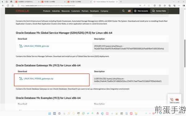 Oracle 11g数据库安装教程，手游开发者必备技能解锁