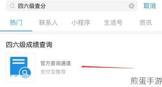 支付宝新功能揭秘,轻松查询英语四六级成绩,玩家必备技巧!