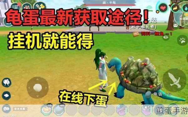 我想问一下创造与魔法龟蛋饲料包有什么用吗,热门游戏道具解析