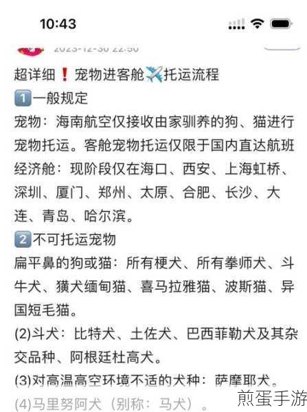 高铁出行新攻略,宠物托运全解析