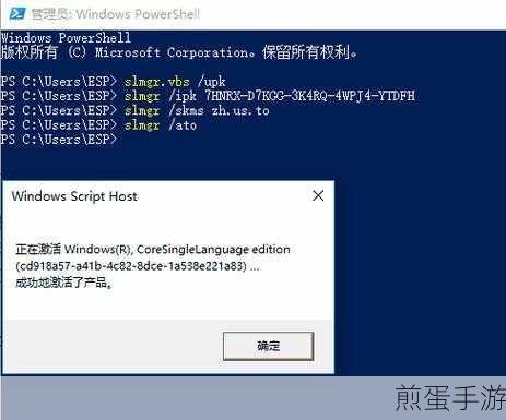 Win10激活遇阻？0x8007007B错误代码破解秘籍