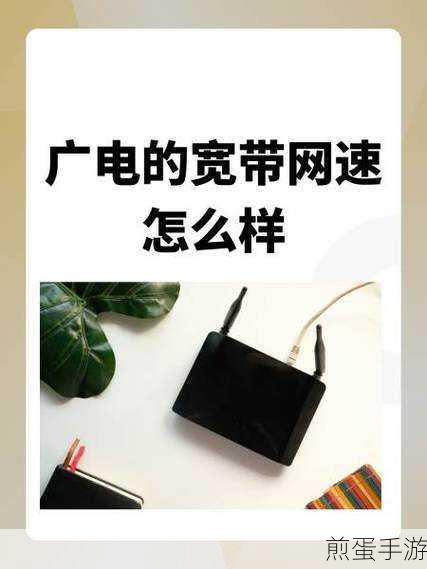100m光纤下载速度揭秘,为何你的速度达不到10m?