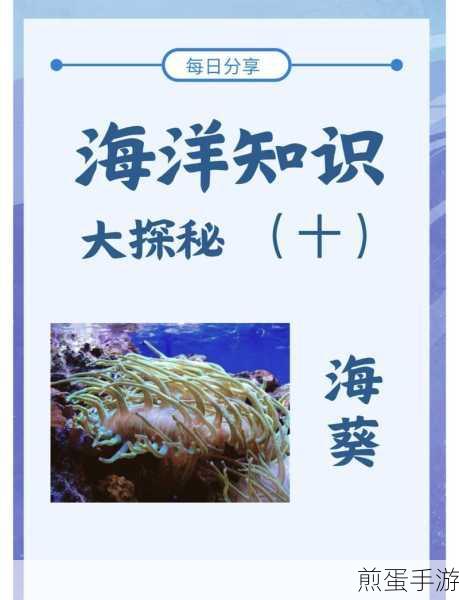 探秘海洋奇珍,解锁贝壳英语单词之旅