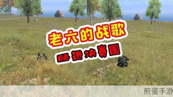 刺激战场老阿姨是和平精英中的一位知名游戏主播,热度持续攀升引关注