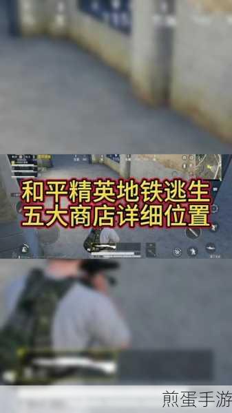 地铁逃生黑市揭秘,探索冰河禁区内隐秘交易点的具体位置,全网疯传的神秘地带