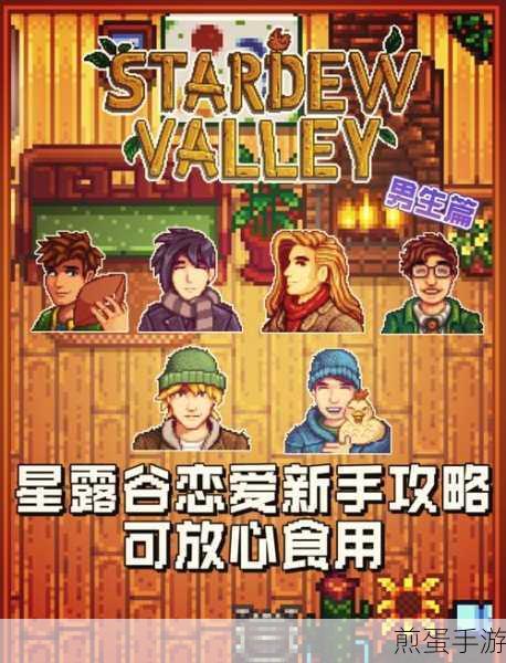 星露谷物语深度攻略,仙子花园任务全解析与完成指南,成为游戏达人的必备秘籍