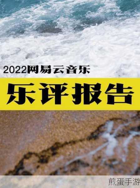 网易云音乐22年度报告数据全攻略