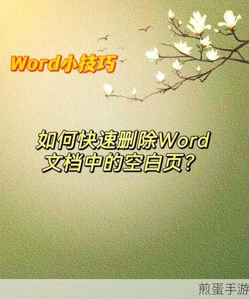 Word技巧大揭秘，一页未满轻松换页，页码设置不求人