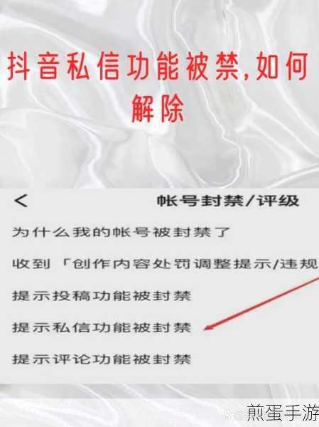 抖音私信功能关闭全攻略,手游玩家必看