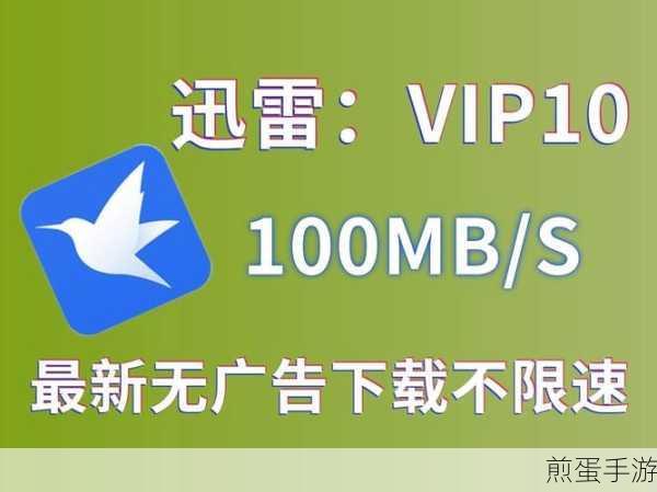 IDM助力手游玩家,轻松下载迅雷链接资源