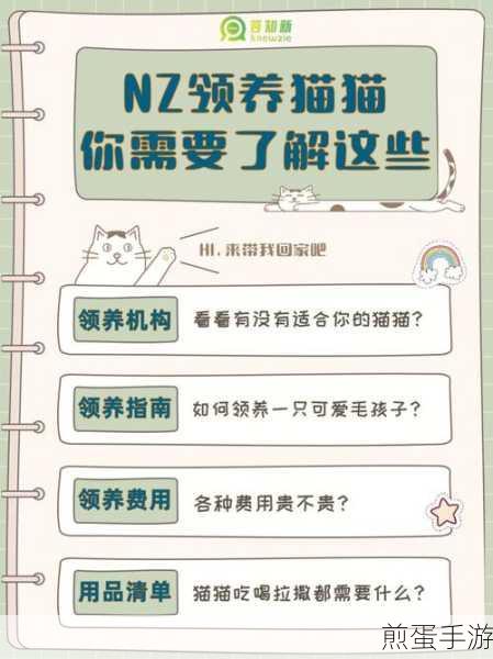 绝区零游戏内领养小猫的全面方法与详细条件介绍指南,成为铲屎官不是梦