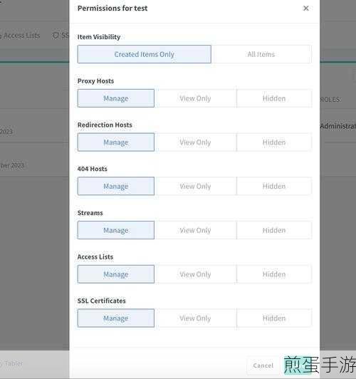Docker Nginx助力手游前端，空白页与代理异常大揭秘！