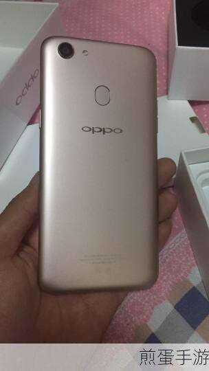 OPPO A79与OPPO A73,手游玩家的选择之战