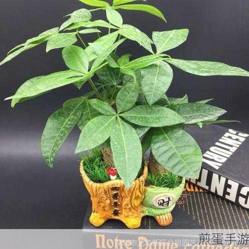 钉钉班级树,能量收集全攻略,打造你的绿色小森林